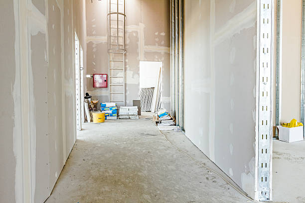 Trusted Meadow Woods, FL Painting & Drywall Installation Experts